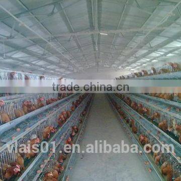 High quality Poultry farm Cages Layer cages A type farm design