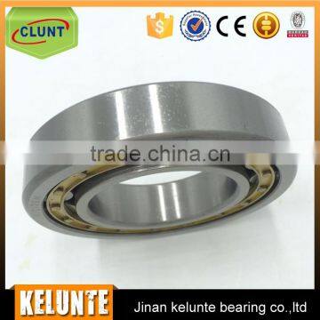 NU252 Series Large Stock Bearing NJ252M for Sale Cylinrical Roller Bearing NU252M
