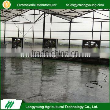 2017 Professional venlo shape vegetable and fruit agriculture poly greenhouses