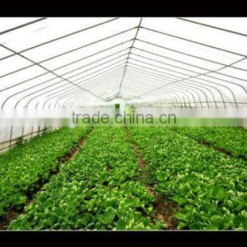 Multi span PE Cover Film PE greemhouse film for vegetable greenhouse