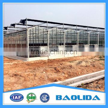 Factory Price high quality multi span tempered glass covered greenhouse for agriculture