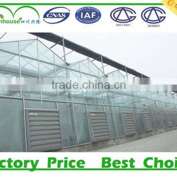 Garden Glass Greenhouse Panels photo-3