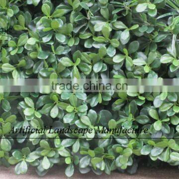 Artificial Green Wall for Hotel Decoration,fake Plants Wall Home Decoration photo-3