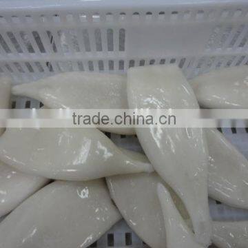 Frozen Tordarodes and Argentina Squid Tube photo-2