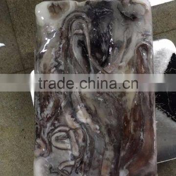 Frozen Giant Squid Tentacles/frozen Giant Squid Soft Tentacles photo-5