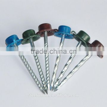 Roofing nails with plastic cap