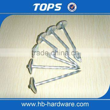 umbrella head roofing nails with screw shank