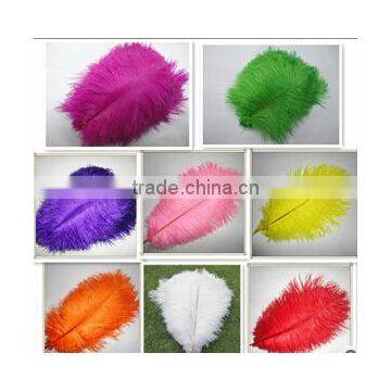 18-20cm Frozen Turquoise ostrich feather Wholesale