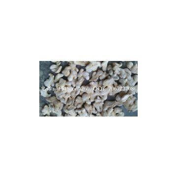Dry Ginger Wholesale photo-3