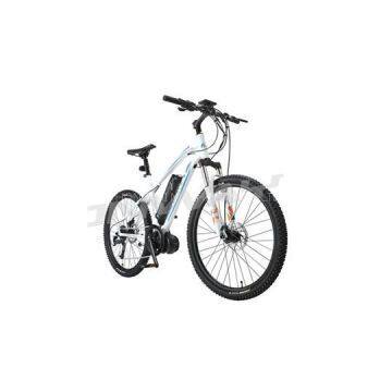 Central Motor Mountain E-Bike(HF-261301C)