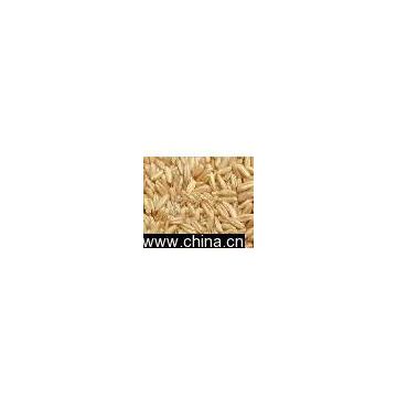 Sell Oats