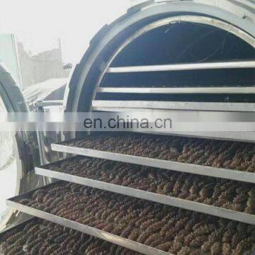 Multi Functional Vacuum Freeze Dryer Raw Food Dehydrator