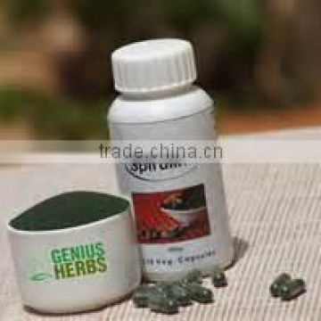 Organic Certified Spirulina Capsules for export