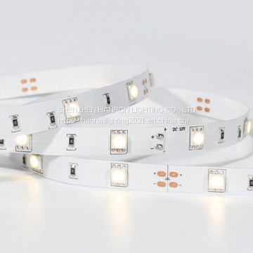 SMD 5050 30LED/M Led Strip Light