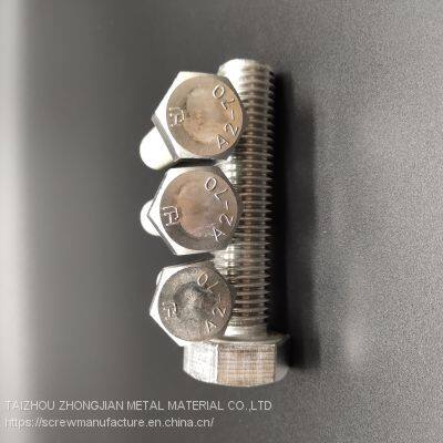 Stainless Steel Hex Bolt M10*60