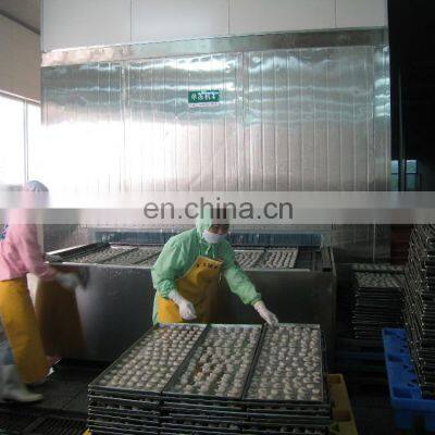 Automatic Food Quick Freezing Machine Auto Industrial and Commercial Meat IQF Freezer Tunnel Machinery Cheap Price for Sale photo-2