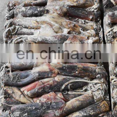 Whole Round Dosidicus Gigas Peru Giant Squid Frozen Giant Squid Price 300-500 500-1000 photo-3