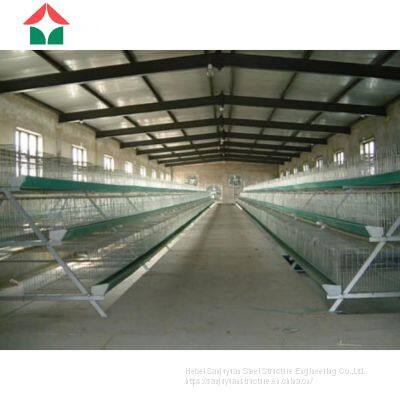China Prefabricated Automatic Chicken House for 50000 Layers Birds photo-3
