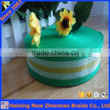 Customized Various pp Webbing Tape photo-4