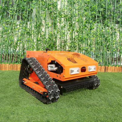 Radio Controlled Slope Mower, China Radio Controlled Lawn Mower Price, Robotic Brush Mower for Sale photo-4