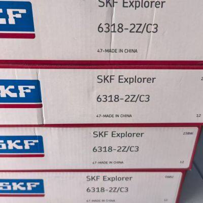 6004 Z Factory Sell SKF Chrome Steel 6004 RSH Deep Groove Ball Bearing