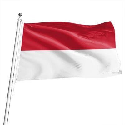 Sea, air services from China to Indonesia DDP/DDU  DHL/UPS/FedEx