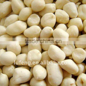 Blanched Groundnut Prices