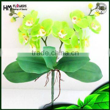 Artificial Orchid Phalaenopsis