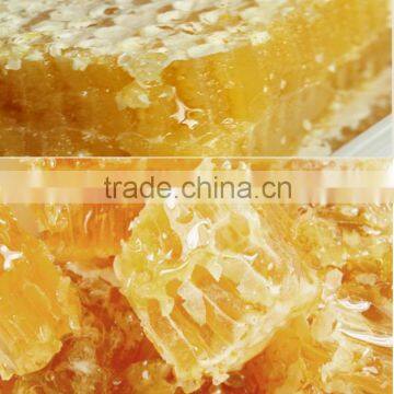 Concentrated Honey Extractor,low Price Honey Vacuum Concentration photo-4