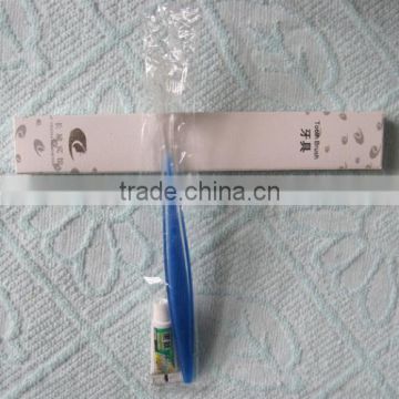 Two colors transparent cheap toothbrush and toothpaste