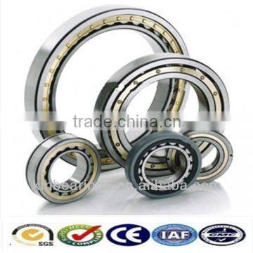 Open / Sealed rhp Cylindrical Roller Bearing nn model bearing