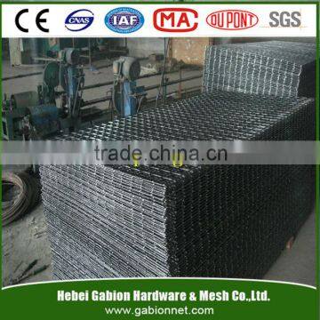 2x2 Galvanized Welded Wire Mesh Panel For Sale