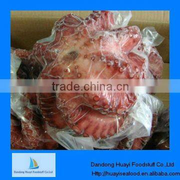 fresh frozen vulgaris octopus