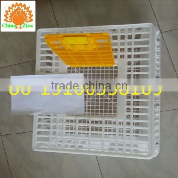 Poultry plastic chicken transport stackable cage /box/crates for child chicken