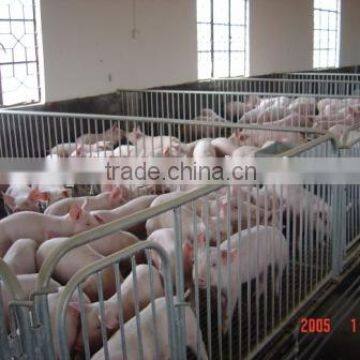 Pig Raising Equipment