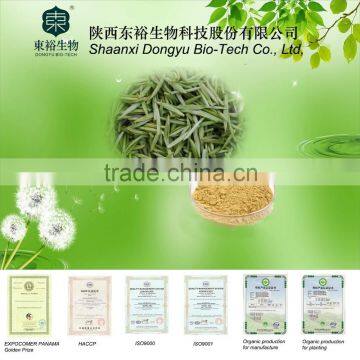 Healthy supplement GreenTea Extract 95% for capsules with free sample