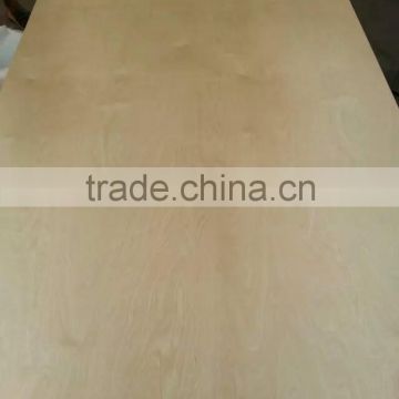 USA market 18mm C/D grade laminated birch plywood