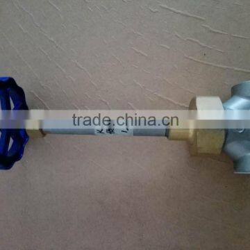 Cryogenic Globe Valve