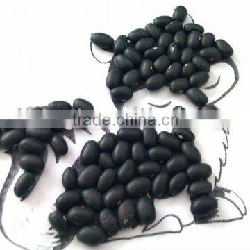 Chinese Black Kidney Bean( 2013 crop, hps, heilongjiang origin)