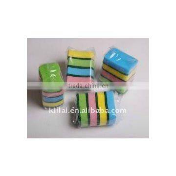 Scouring Sponge