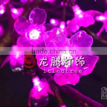 Simulation Bonsai Tree With Lighting photo-4