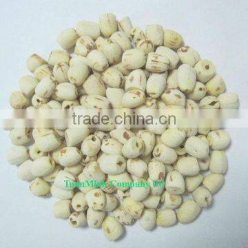 Vietnam White Lotus Seeds (the Best Quality)