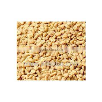 DRIED FENUGREEK SEEDS