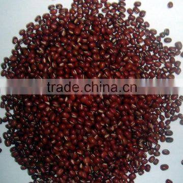 2015 small bulk packing red kidney beans china