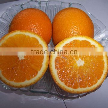 2015 best sweet taste navel orange from Jiangxi