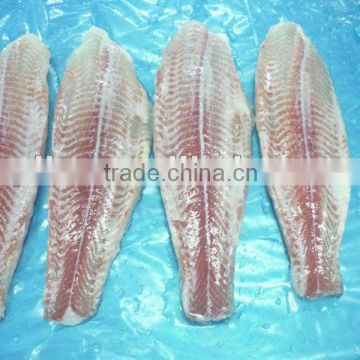 High Quality frozen basa fillet