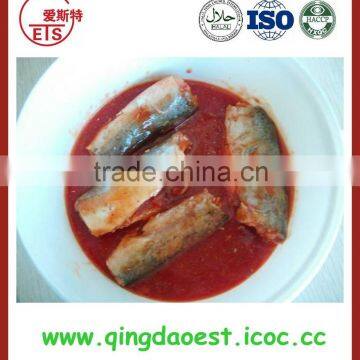 Canned Mackerel in Tomato Sauce With Competitive Price From China