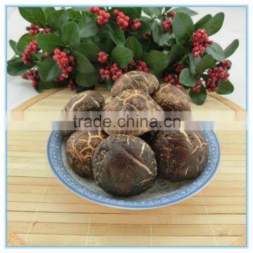 Bulk Dried Tea Flower Shiitake