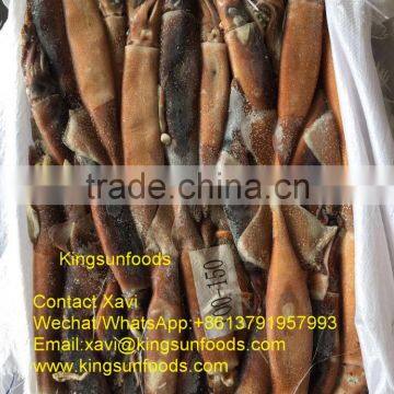 Wholesale W/R Illex Squid,150/200g