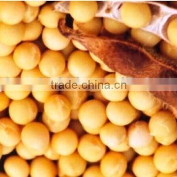 Soybean Extract Lower Cholesterol